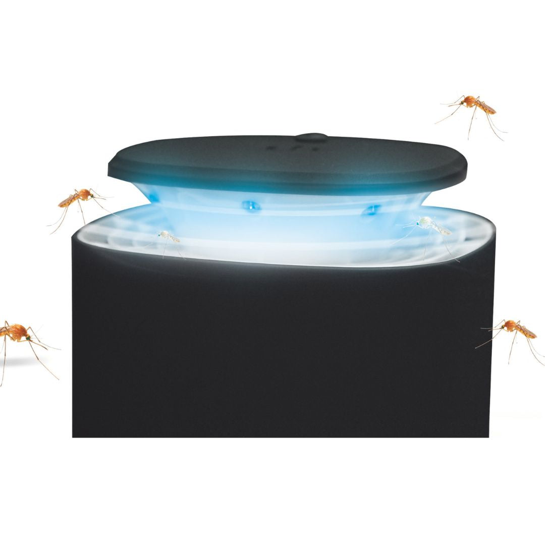 Mesa Living 'Intelligenter Mosquito Killer' UV-Licht